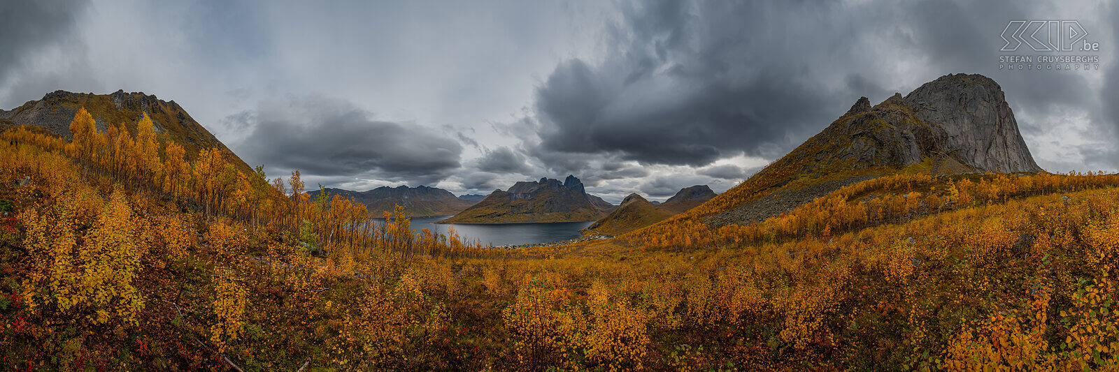 Senja - Fjordgard - Hesten trail Panorama image with beautiful autumn colors from the start of the ascent of the Hesten, a mountain that offers a fantastic view of the surrounding fjords and the famous rock peak of the Segla. The trail starts from the village of Fjordgard Stefan Cruysberghs